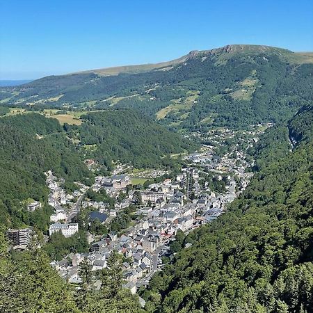 Le Martin Pecheur, Appartement Proche Hyper Centre Le Mont-Dore Exterior foto