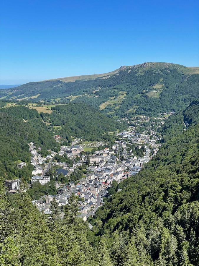 Le Martin Pecheur, Appartement Proche Hyper Centre Le Mont-Dore Exterior foto